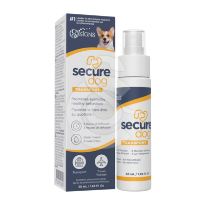 Secure Dog Transport