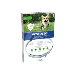 Protesto Collier Petit chien